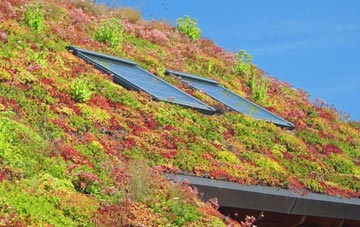 Brock living roof systems
