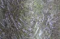 Brock fibreglass roof work